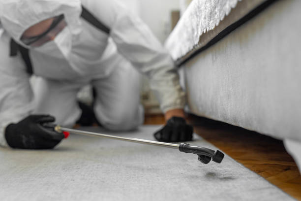 Professional Bed Bug Control technician working in Little Ferry, NJ