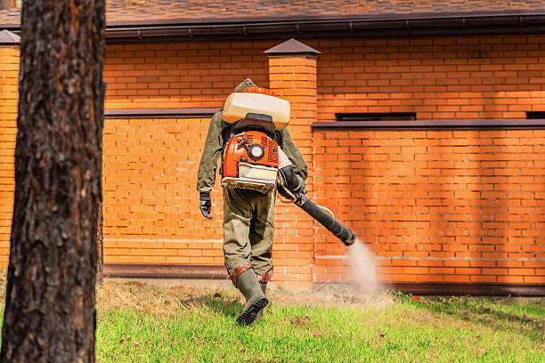 Trusted Termite Control service in Little Ferry, NJ - Nex Pest Control
